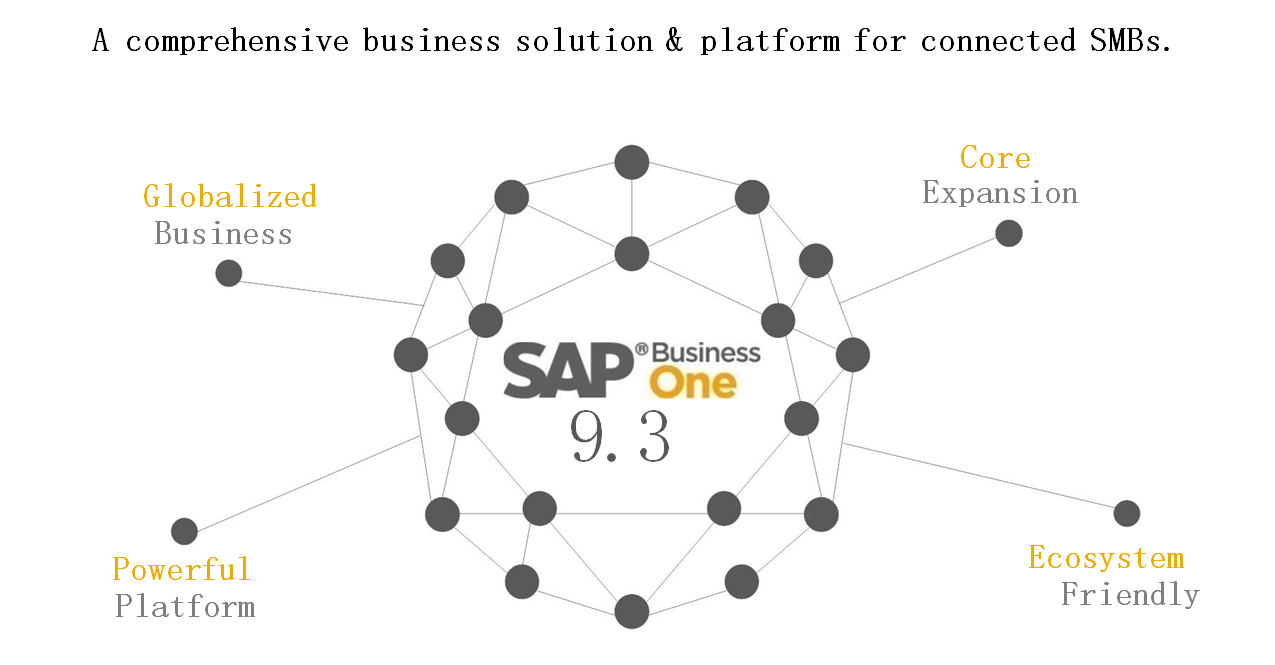 SAP Business One 9.3