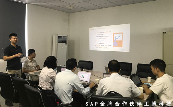 SAP B1企業(yè)管理軟件，SAP ERP項目,中小企業(yè)的信息化方案,SAP Business One系,SAP ERP管理軟件