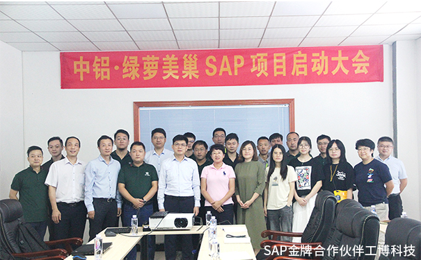 美巢家居ERP,綠蘿美巢ERP,中國鋁業(yè)集團(tuán)ERP,SAP Business One系統(tǒng)，中鋁·綠蘿美巢SAP ERP項(xiàng)目